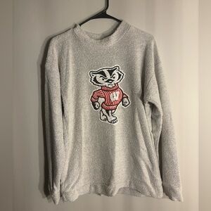 Wisconsin Badger Sweater